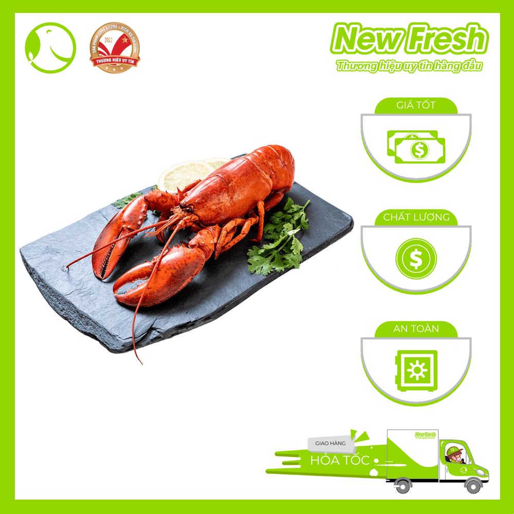 Tôm Hùm Baby Canada Hấp Tiện Lợi Size 300 - 450 Gram/Con