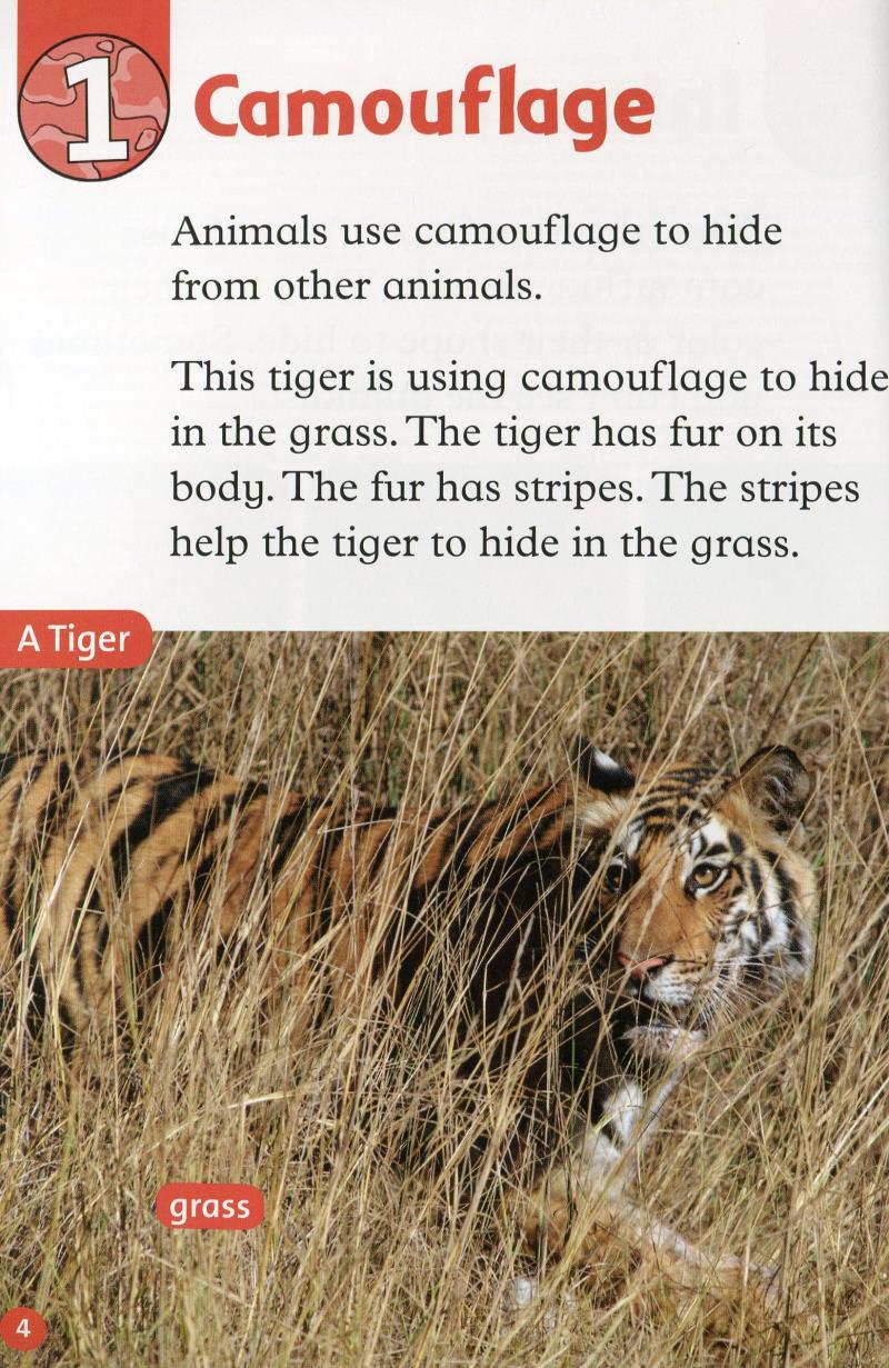 Oxford Read and Discover: Level 2: Camouflage
