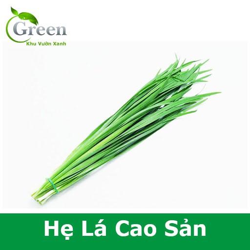 Hạt Giống Hẹ Lá Cao Sản