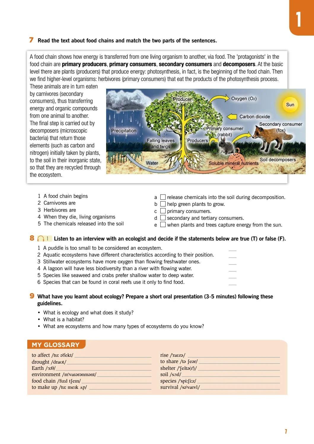 Sách ngoại văn: ESP Series - Flash On English For Construction