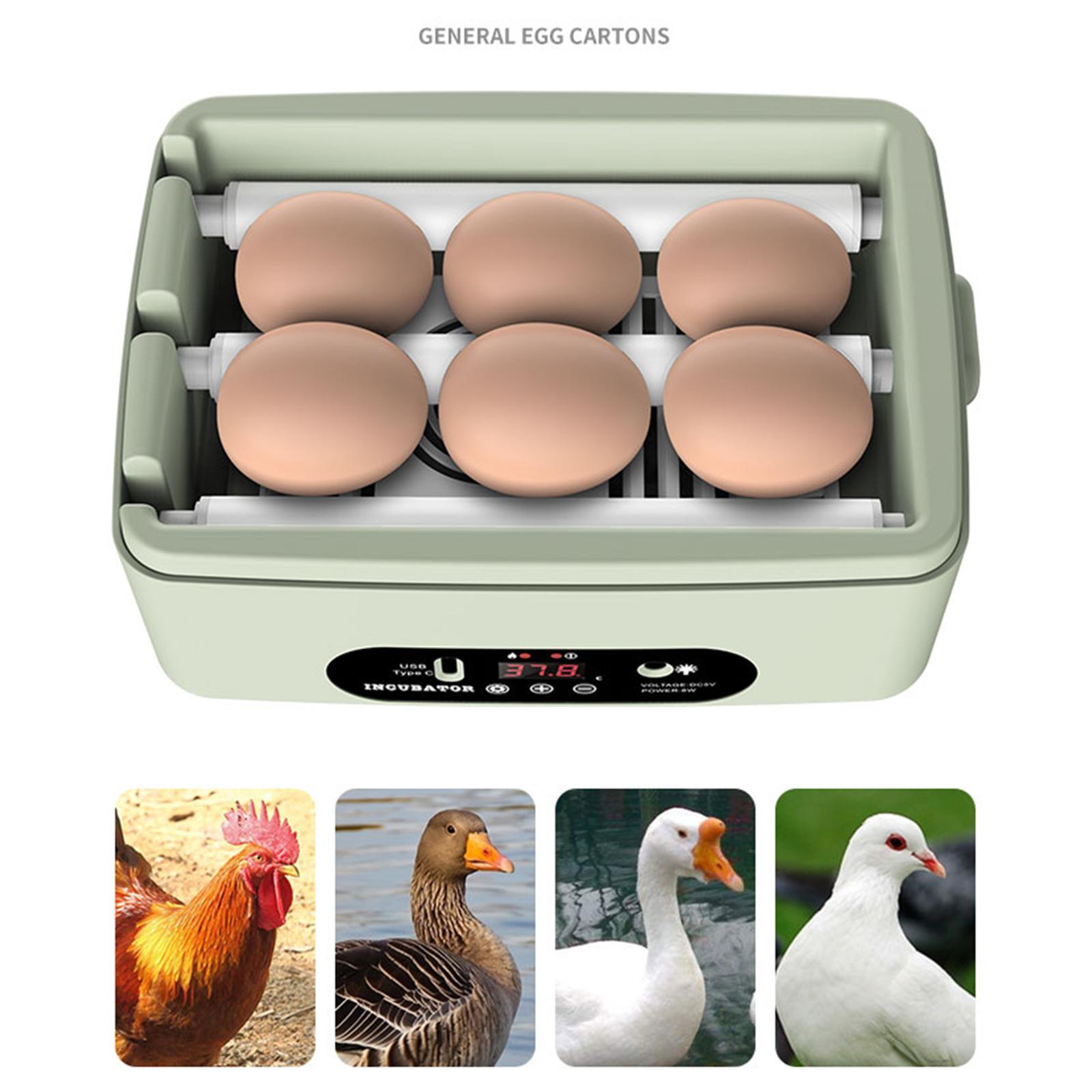 Egg Incubator Manual Egg Turner Temperature Control with Light for Duck Square
