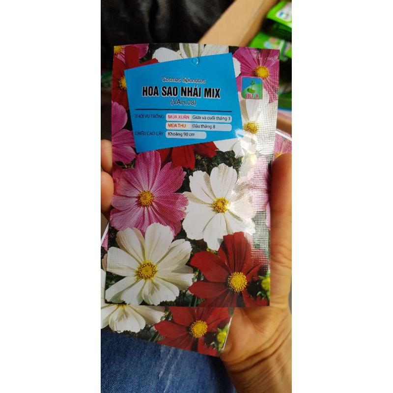 Hạt giống hoa sao nhái mix 100 hạt