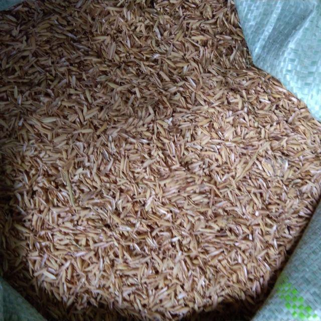 5kg Trấu tươi - vỏ trấu - trấu sống- bao to 60dm3