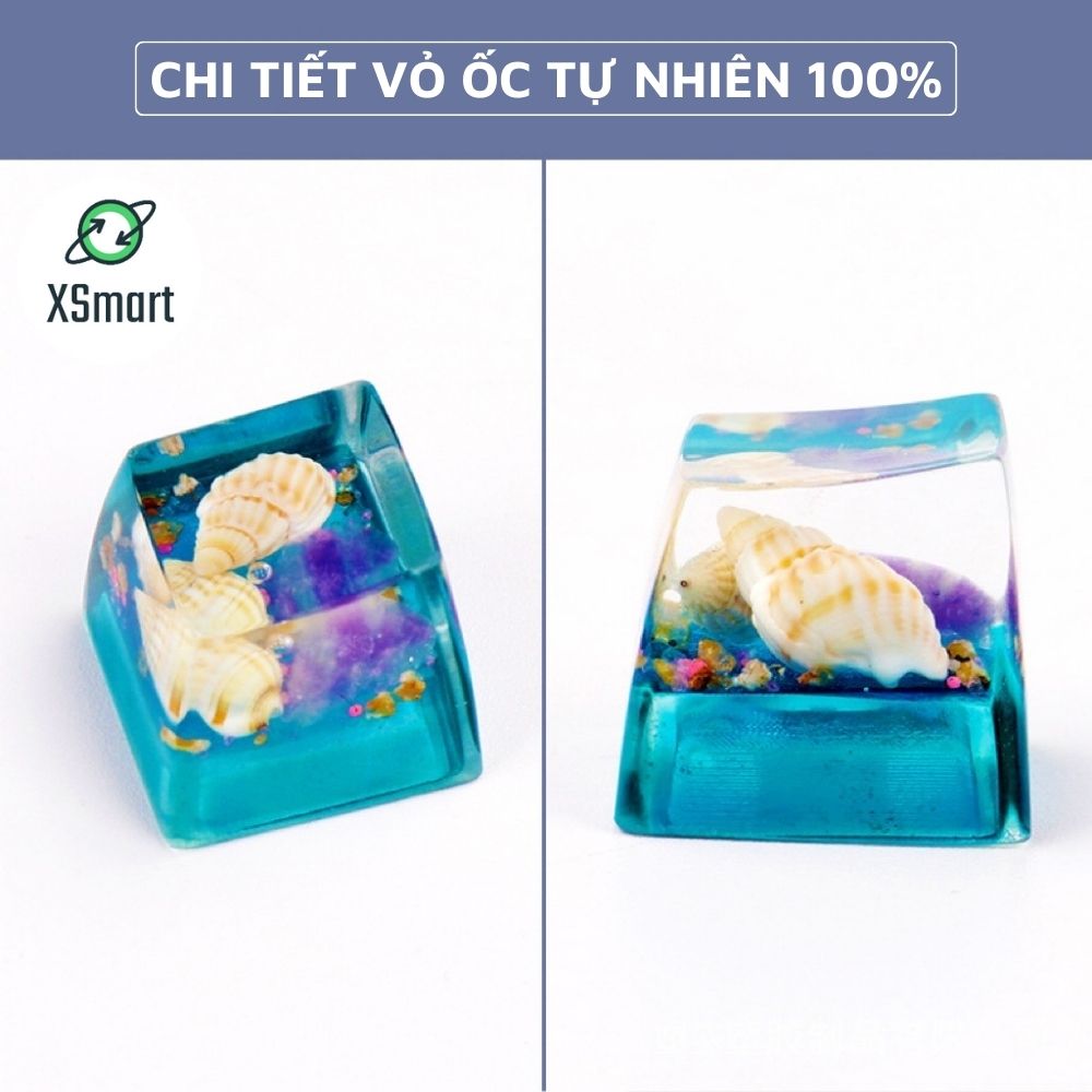 Keycap Nút Bàn Phím Ốc Đại Dương Tự Nhiên Thủ Công Cực Đẹp Nhựa Resin Trong Suốt Xuyên LED-Hàng Chính Hãng