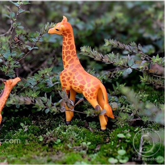 Mô Hình Hươu Cao Cổ Trang Trí Hồ Cá Cảnh / Trang Trí Bể Bán Cạn / Tiểu Cảnh Sen Đá, Xương Rồng