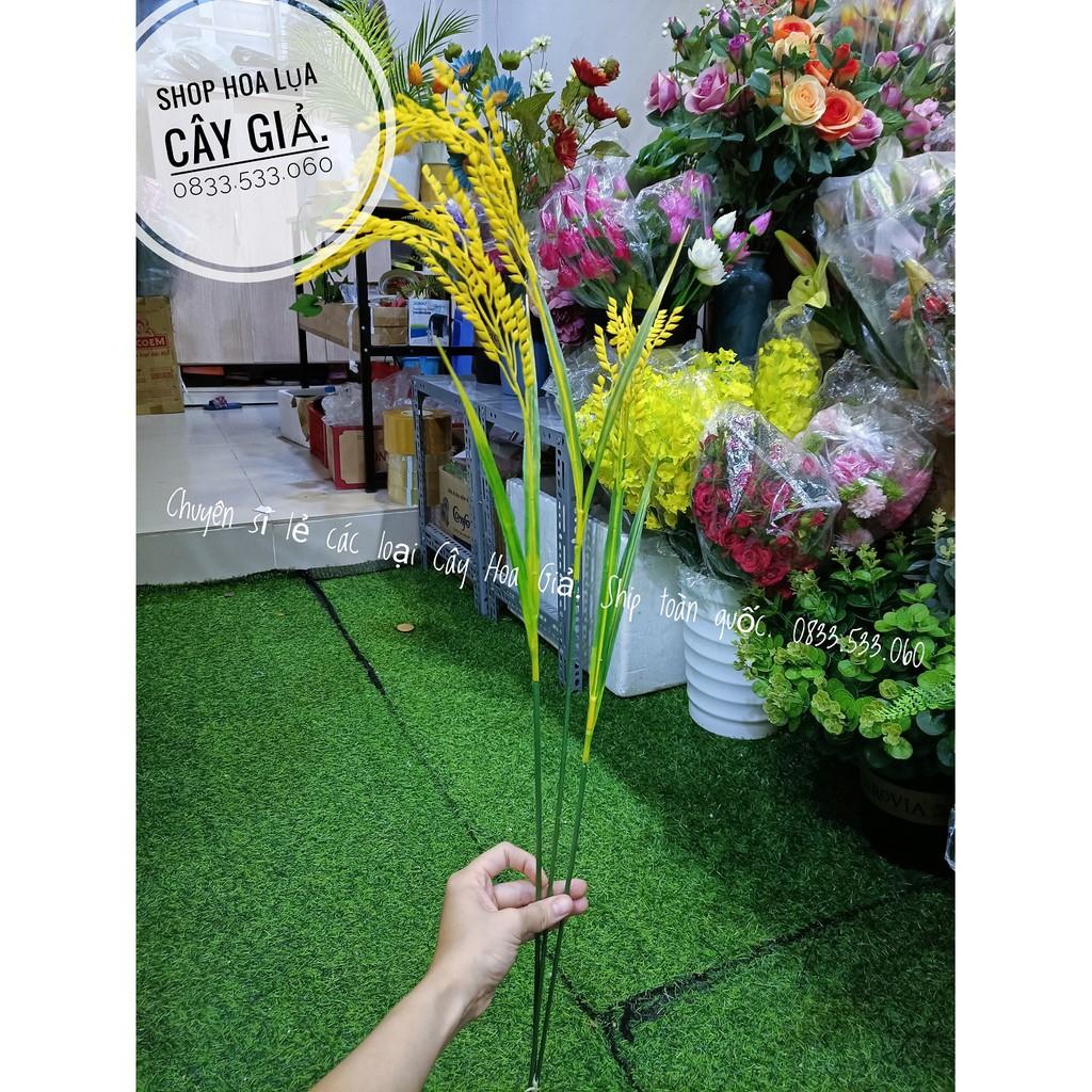 Hoa giả - Bông Lúa cao cấp 80cm - Hàng Đẹp - Cắm lọ hoa trang trí nhà cửa. Mang ý nghĩa sung túc, đủ đầy