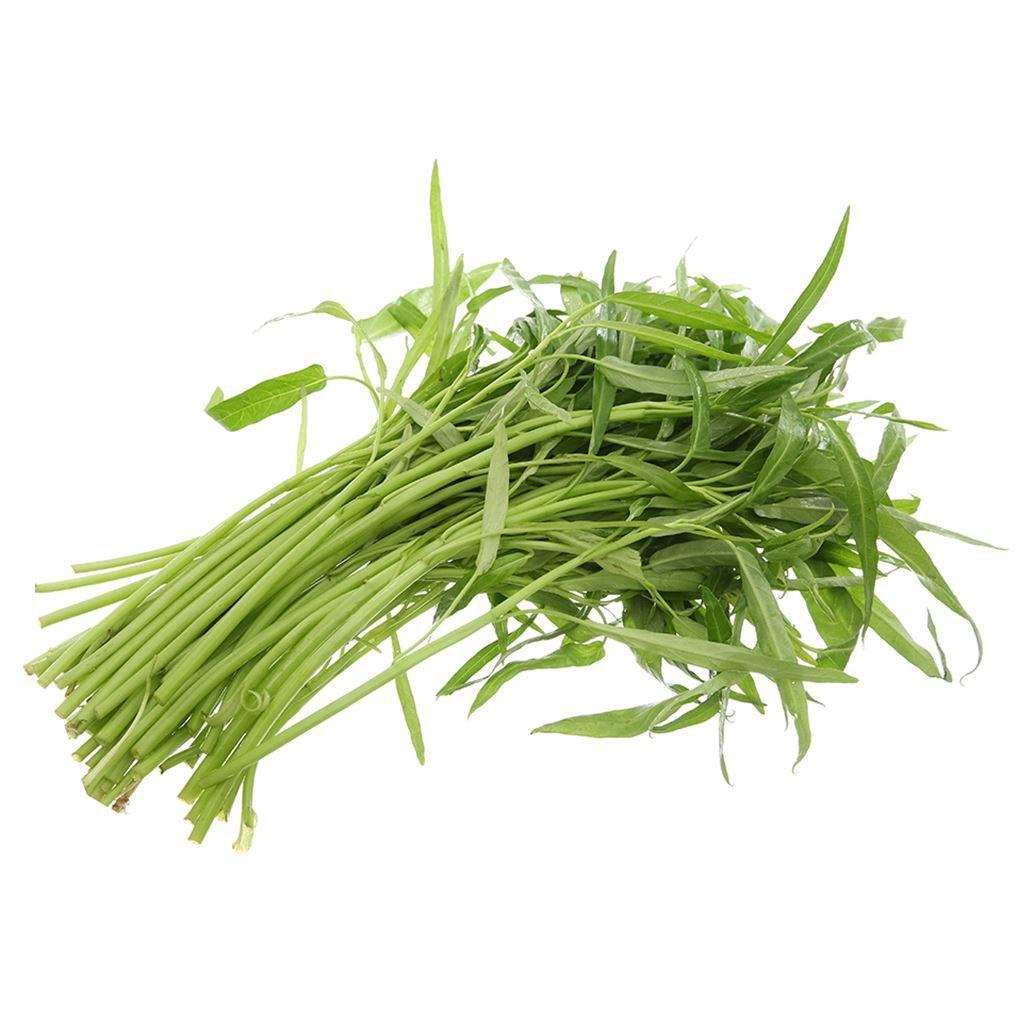 HẠT GIỐNG RAU MUỐNG - KHẢ NĂNG SINH TRƯỞNG VÀ PHÁT TRIỂN MẠNH, TỶ LỆ NẢY MẦM CAO