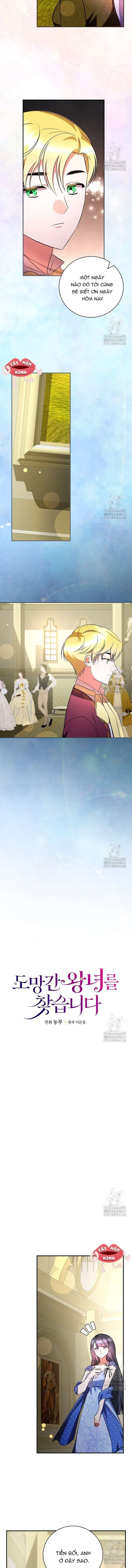 đi tìm nàng công chúa bỏ trốn chapter 29 5