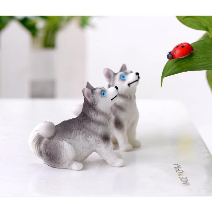 Mô Hình Chó Husky Làm Tiểu Cảnh - trang trí terrarium / decord mô hình quà tặng trang trí