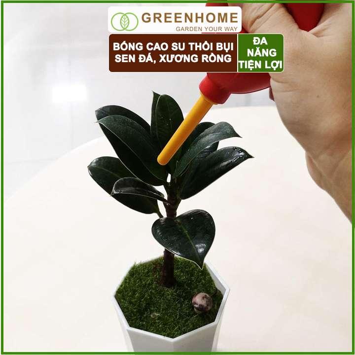 Bóng cao su thổi bụi Sen đá, D15xR5cm, làm sạch cây bonsai, bàn phím, máy ảnh, màu sắc ngẫu nhiên |Greenhome