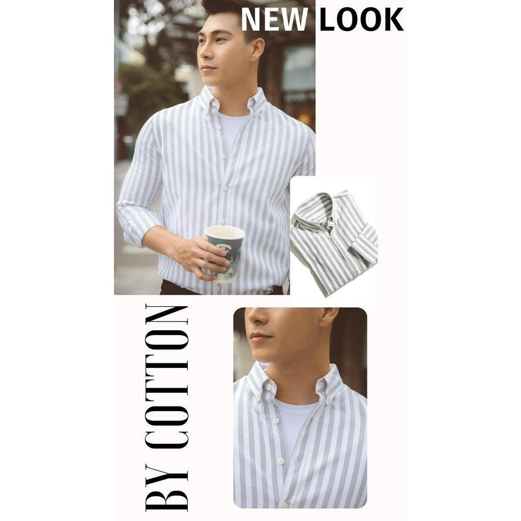 Áo Sơ Mi Nam Ngắn Tay Phối Sọc BY COTTON Light Grey Stripes Oxford 1122