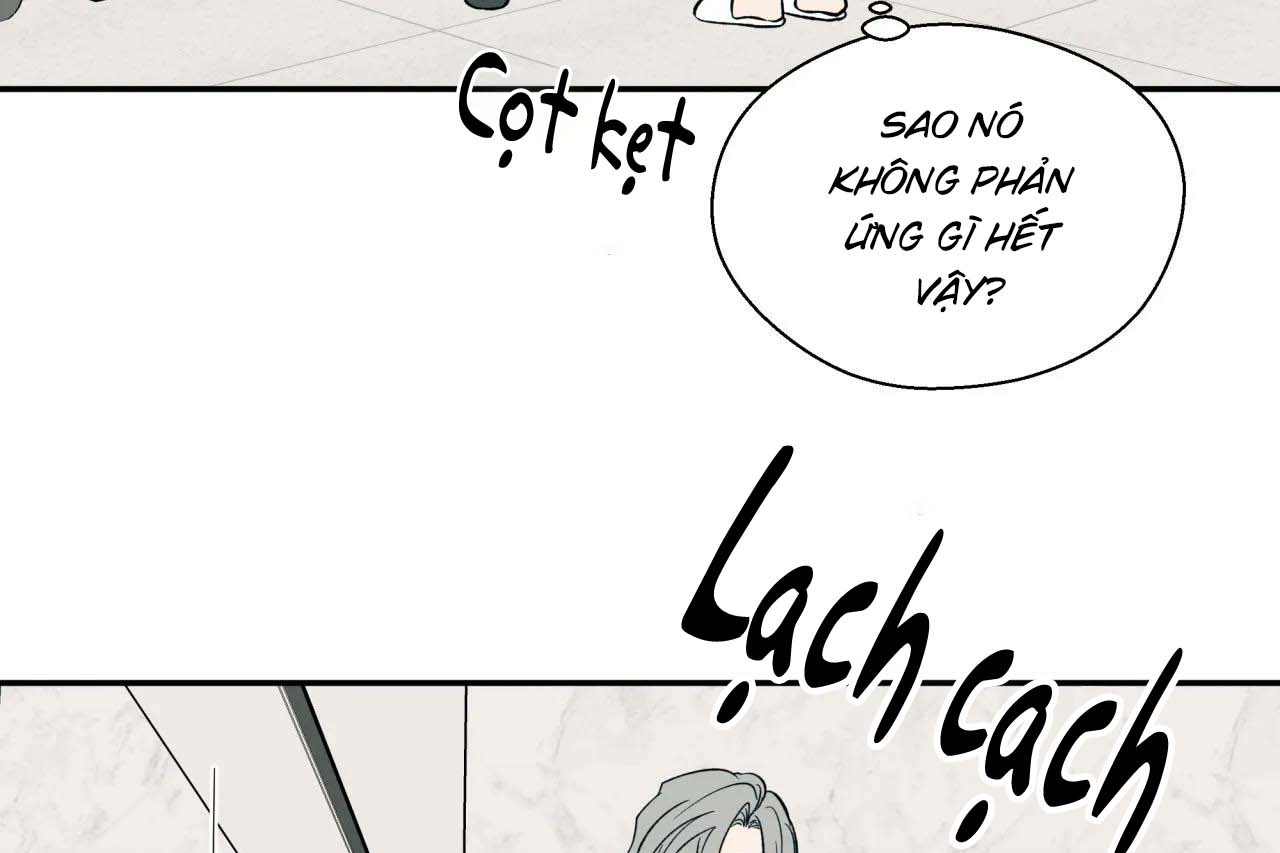 ám ảnh pheromone chapter 55 31