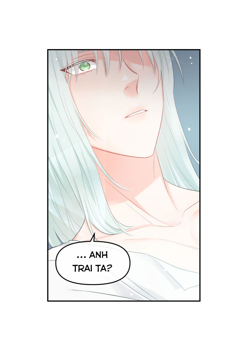 đừng đặt tình cảm mình vào cuốn sách đó chapter 3 39