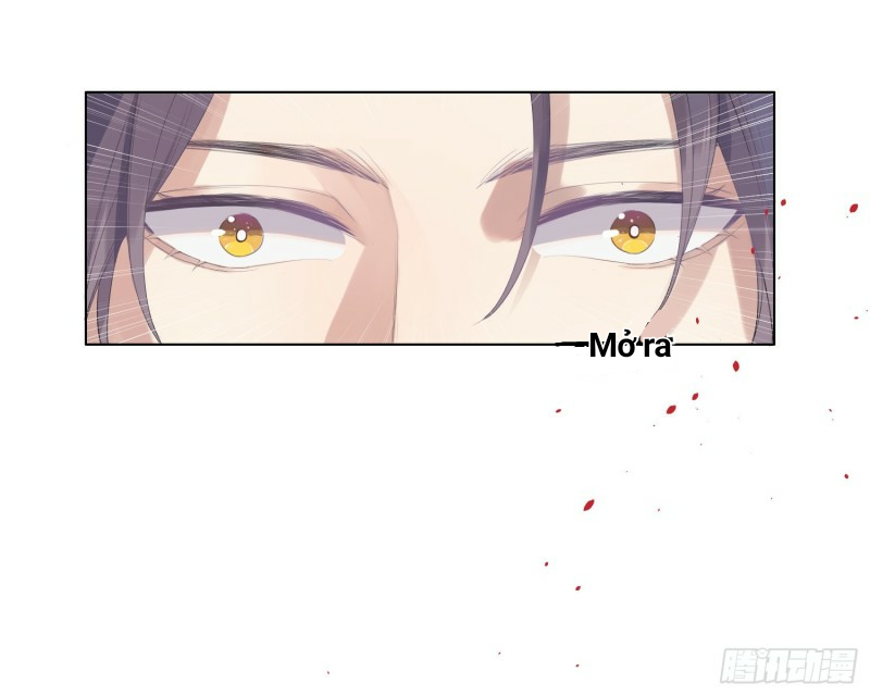 công lược của mami chapter 0 54