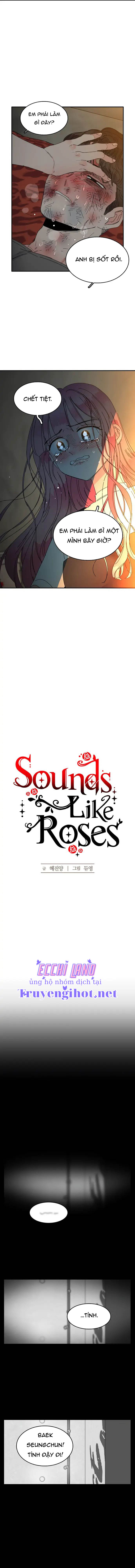 thanh âm tựa hoa hồng chapter 19.1 6