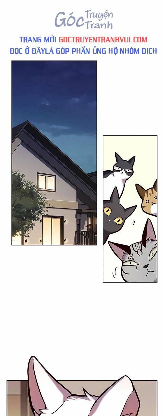 biến thân thành mèo chapter 227 1