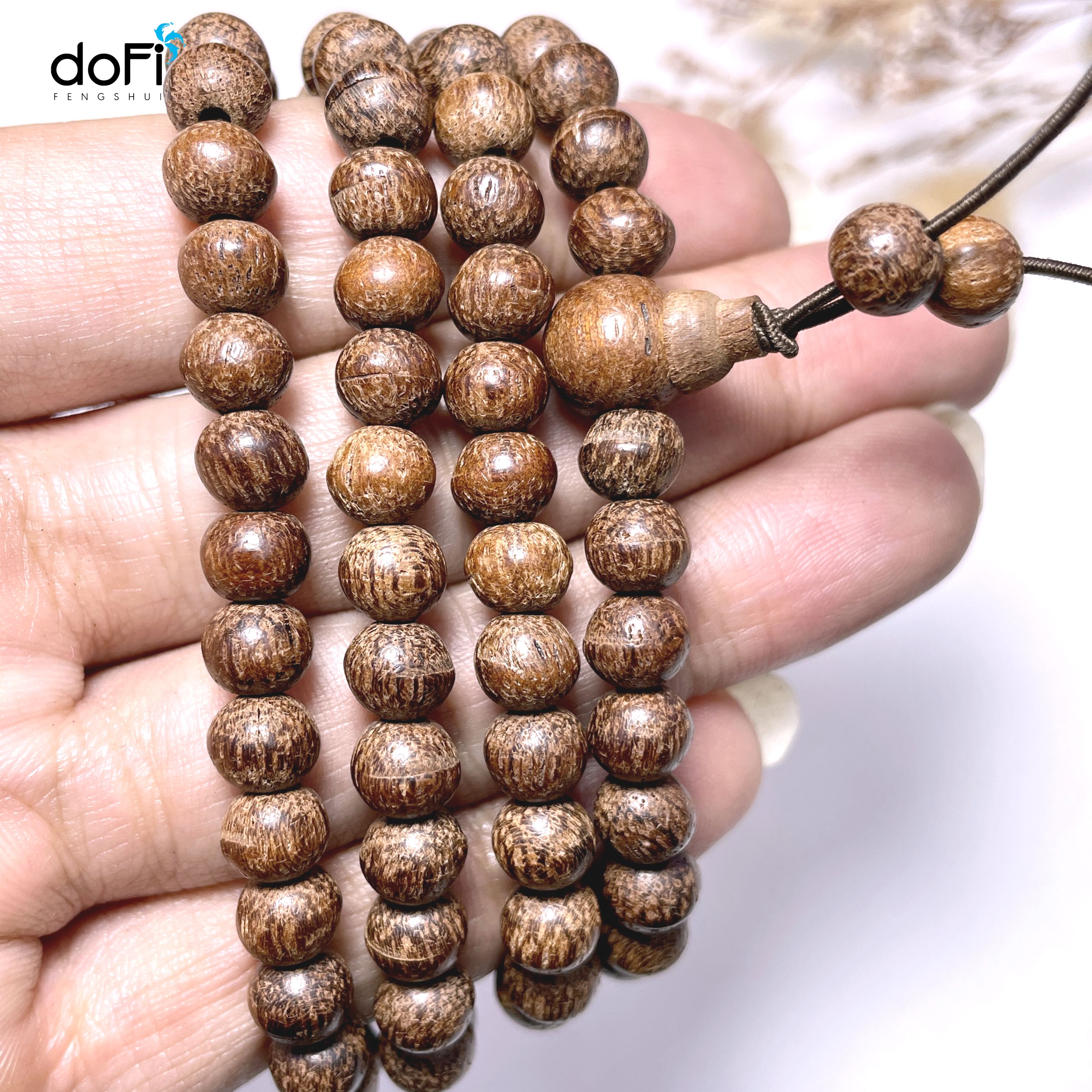 TRÀNG HẠT GỖ DÂU RỪNG 6 LI