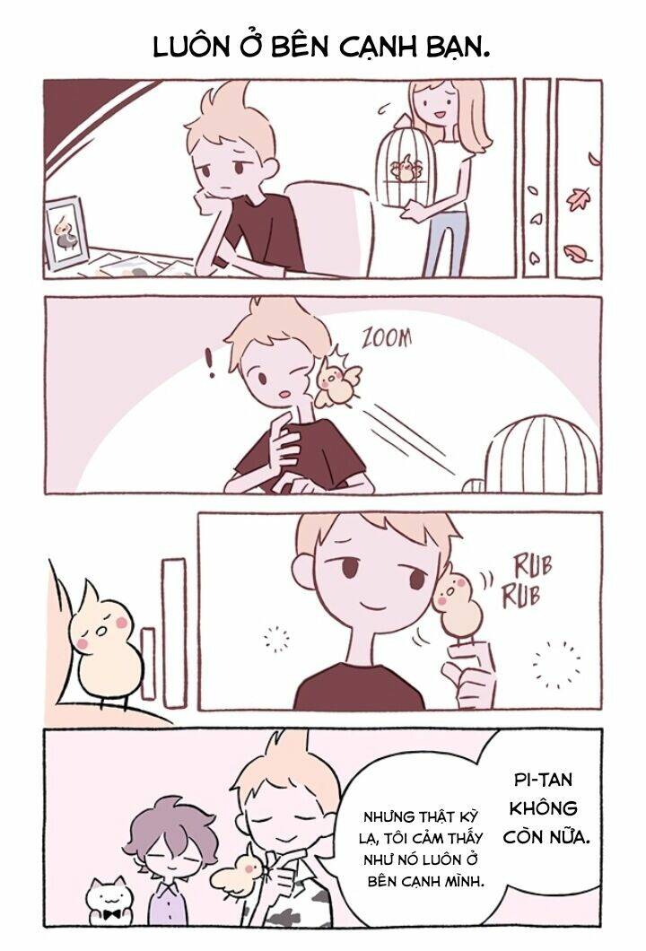 chú mèo kỳ diệu kyuu-chan chapter 692 3