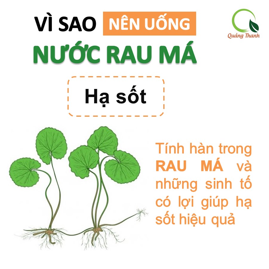 Bột rau má sấy lạnh Quảng Thanh, bịch 50gr - Giải độc, mát gan, thanh nhiệt cơ thể, giảm mụn, đẹp da