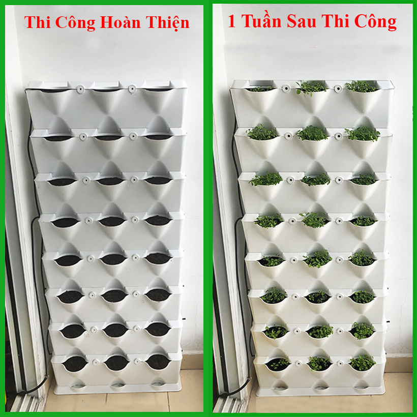 1m2 Module Trồng Cây Đứng Chung Cư Minigarden Vetical (8 Sets Module xếp chồng lên nhau), kèm Hệ Thống Tưới Nhỏ Giọt và tự bón phân bán tự động giúp cây trên tường đứng sống tốt, phát triển bền vững