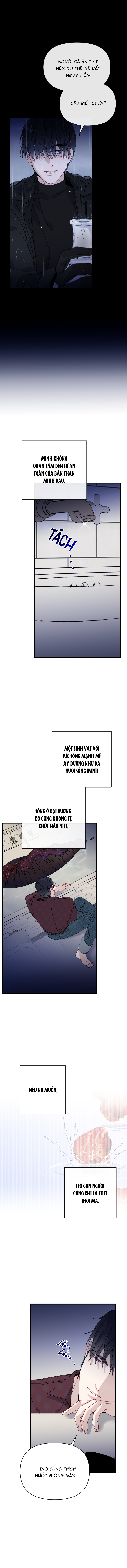 chàng tiên cá trên cạn chapter 1 25