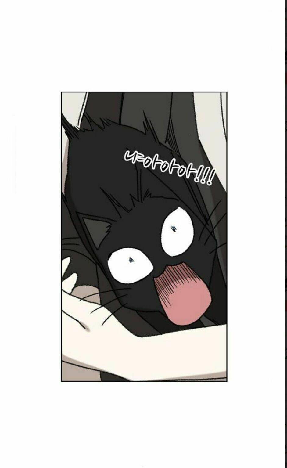 võ sĩ - the boxer chapter 56 45