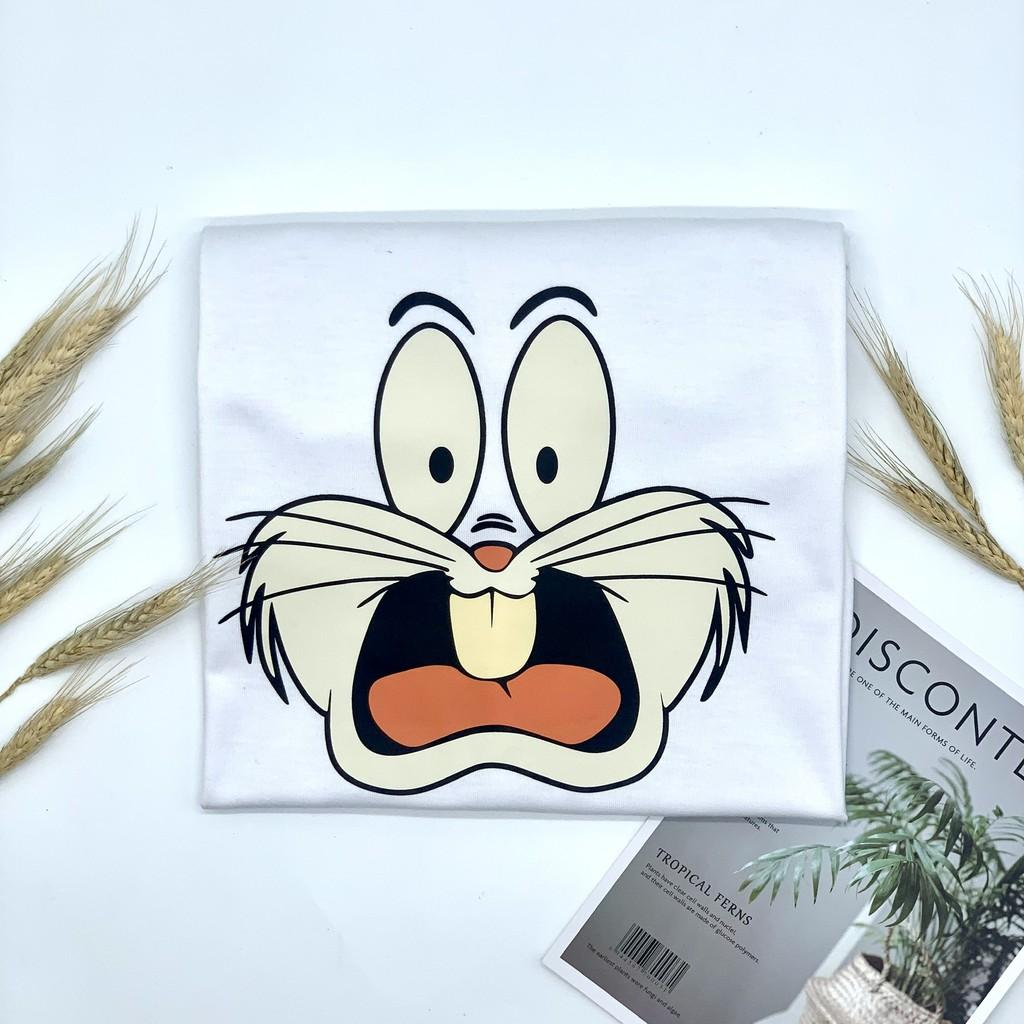 Áo thun Cat form rộng tay lỡ A31