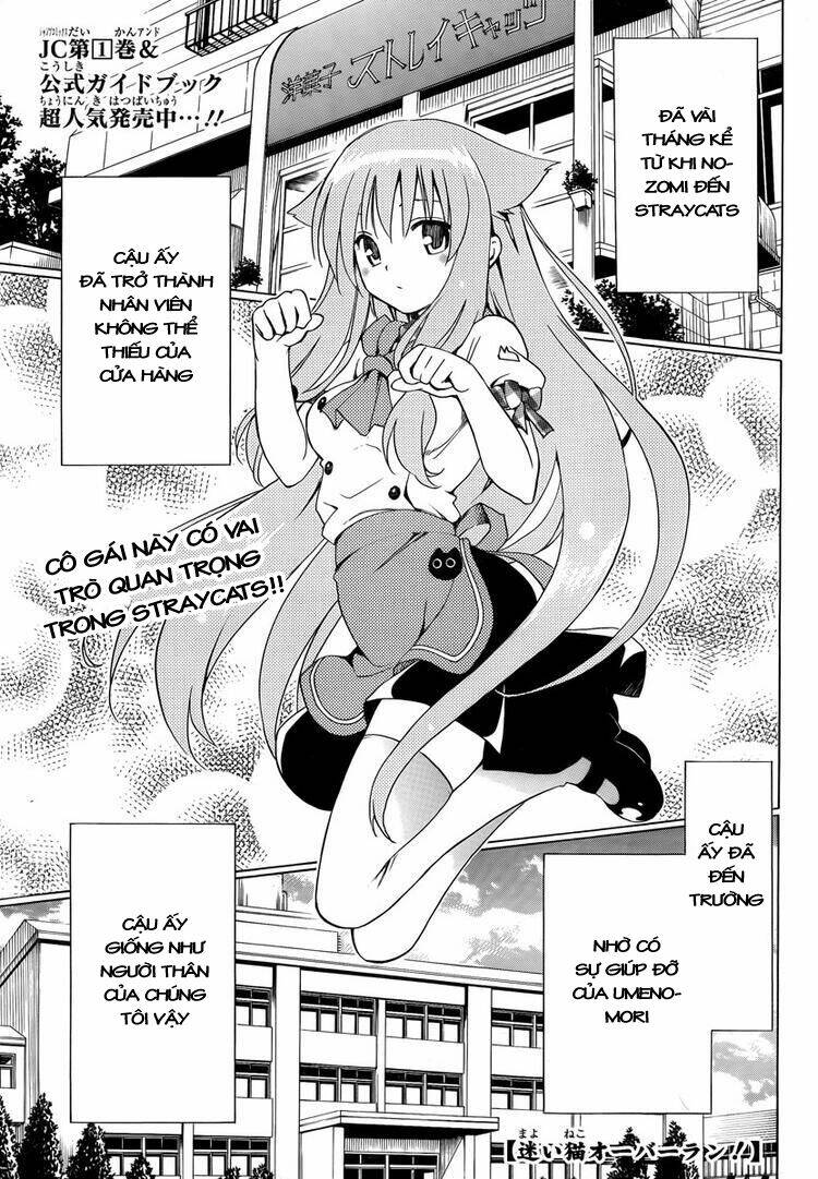 mayoi neko overrun! chapter 6 3