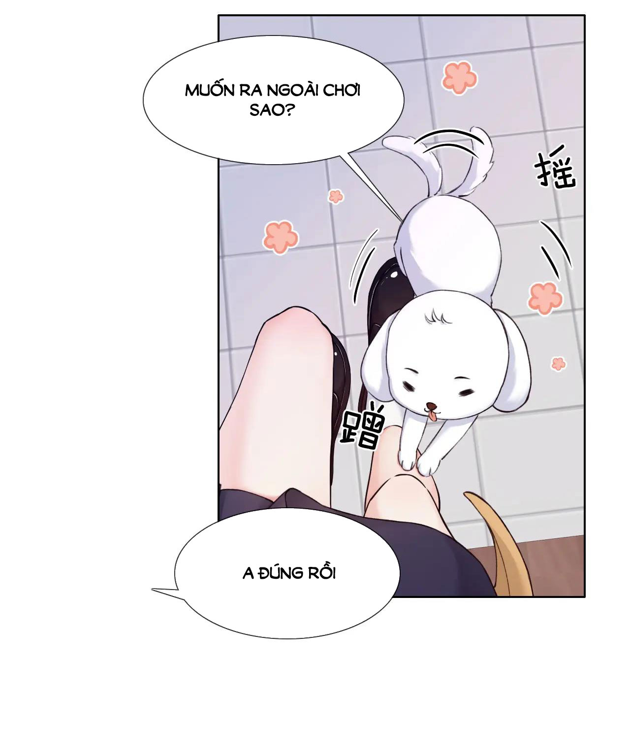 có ý rung động chapter 11.2 4