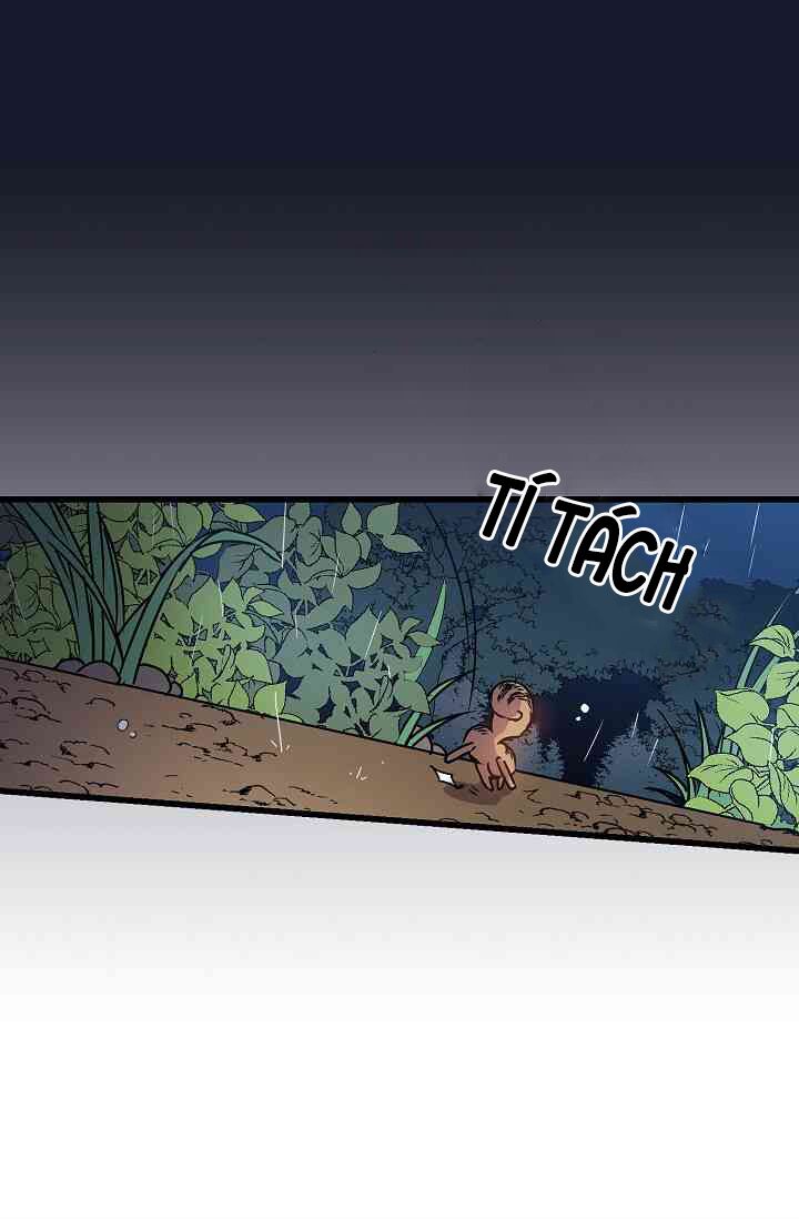 hôn lễ báo thù chapter 8 17