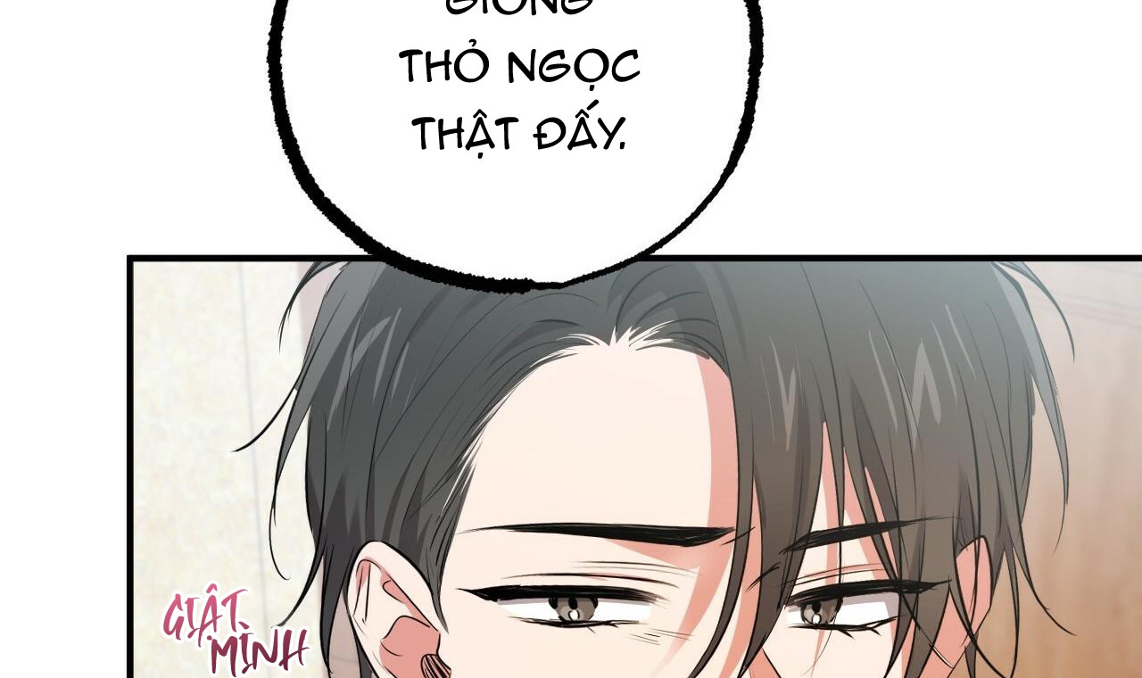 đàn thỏ của habibi chapter 40 45