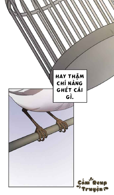 hoàng đế đảo ngược thời gian - cấm reup truyện chapter 2 26