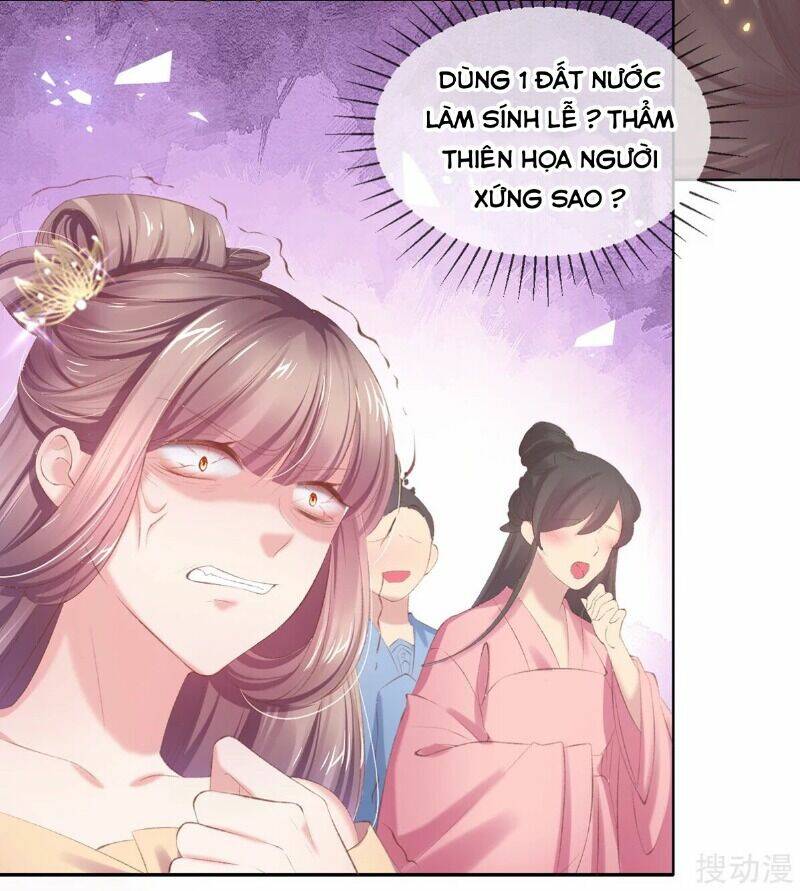 thị huyết y phi chapter 66 51