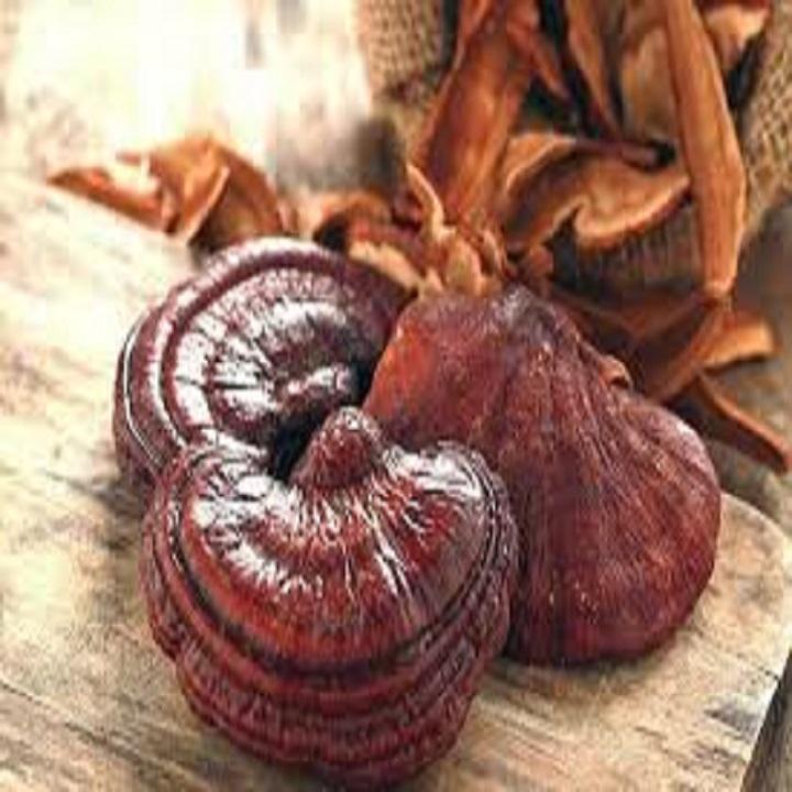 NẤM LINH CHI Khô chuẩn rừng, HÀNG SẠCH LOẠI 1, CAM KẾT CHẤT LƯỢNG - 1BNLCCCL1