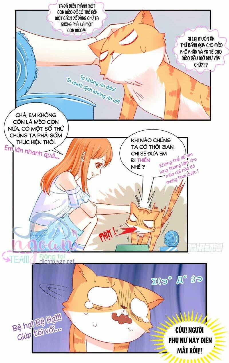 ma vương đại nhân đi thông thả chapter 52 16