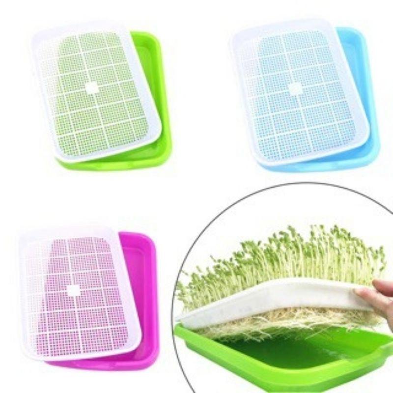 Bộ 5 KHAY NHỰA TRỒNG RAU MẦM THỦY CANH