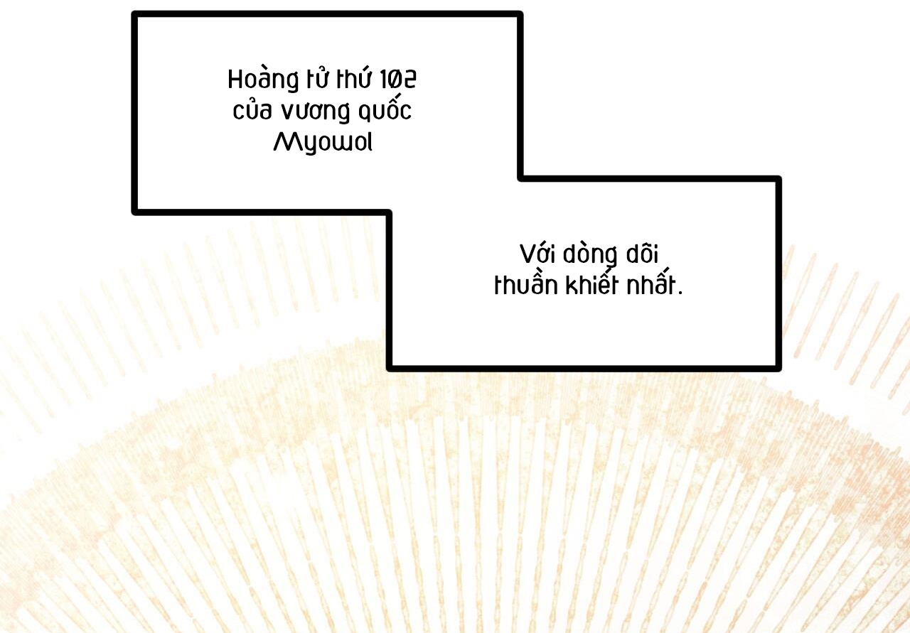 đàn thỏ của habibi chapter 59 15