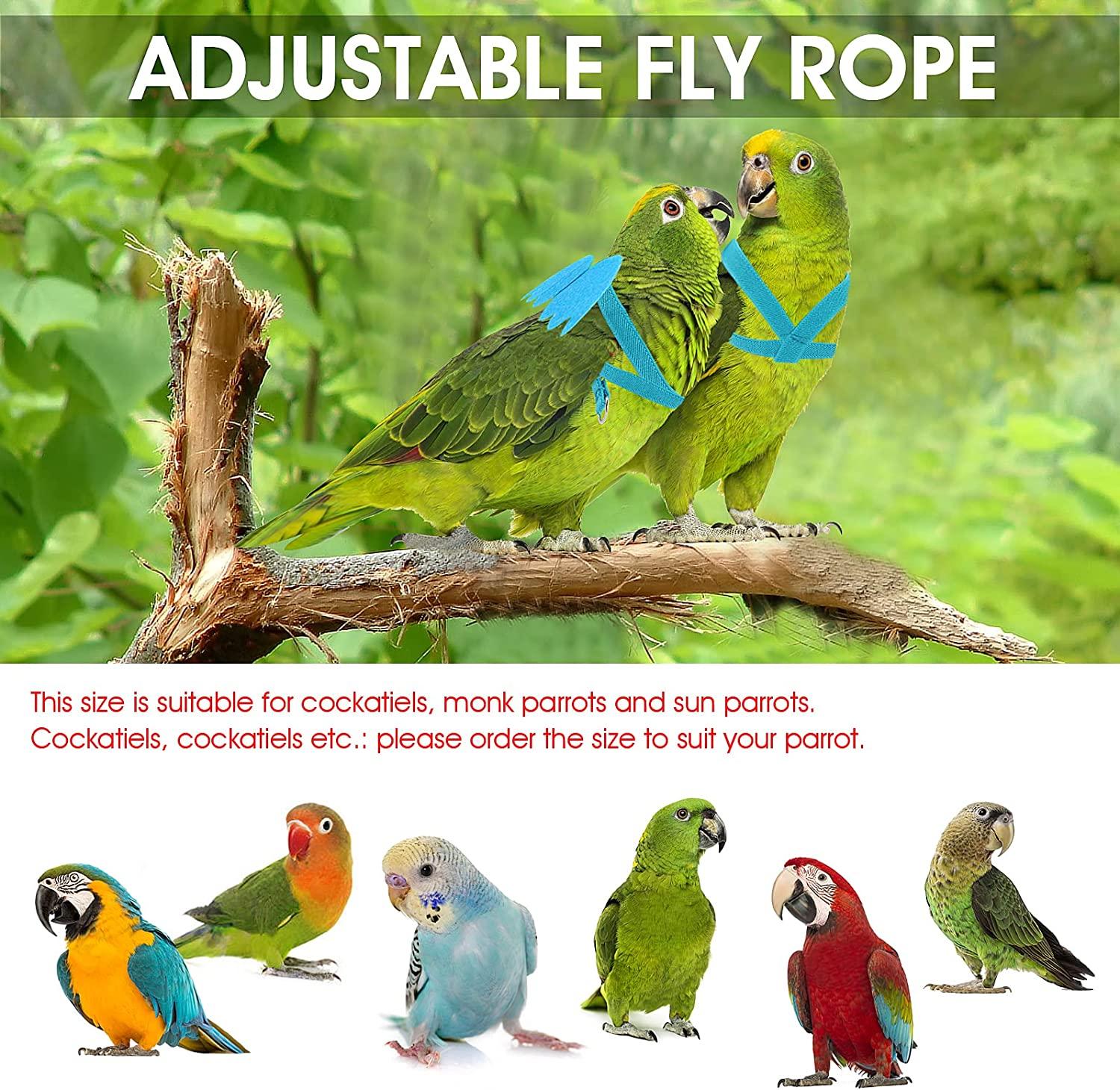 Có Thể Điều Chỉnh Vẹt Tập Bay Dây Cho Vẹt Dây Nylon Chim Dây Và Dây Xích Bộ Chim