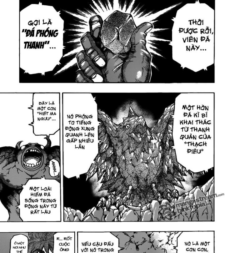 thánh tỏi sành ăn chapter 157 4