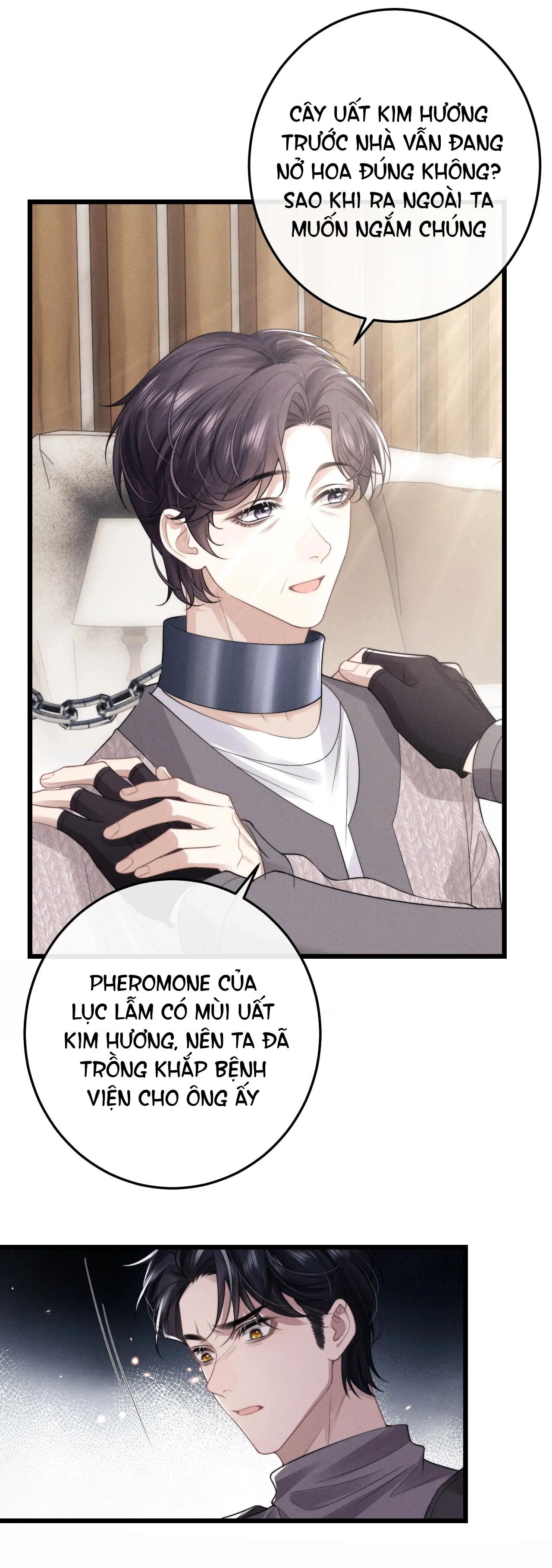 chấp sự thỏ tai cụp chapter 31 8