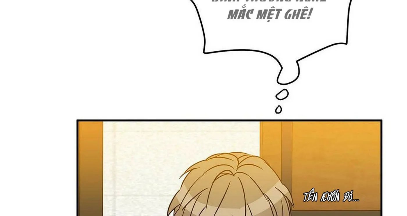 guide cấp b chapter 1 99