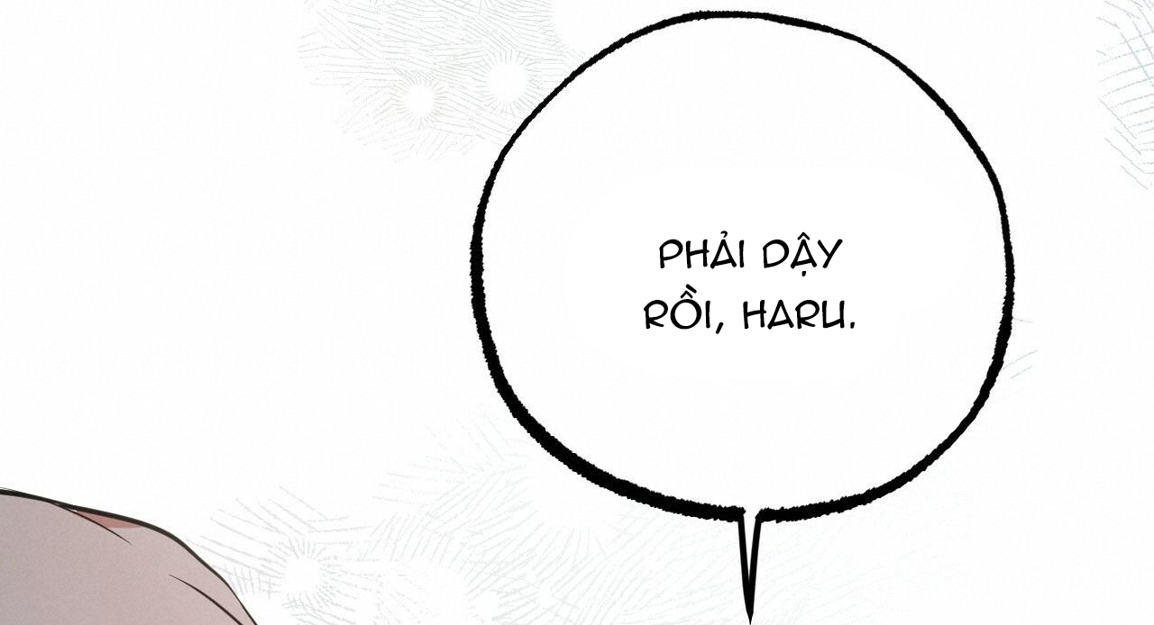 đàn thỏ của habibi chapter 40 167