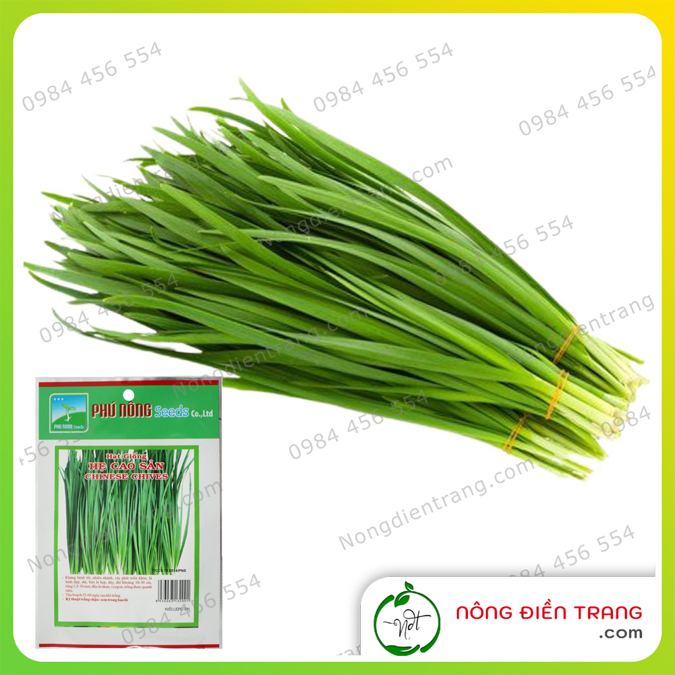 Hạt Giống Hẹ Cao Sản (Chives) Phú Nông - Gói 2g - Tỉ Lệ Nảy Mầm Cao, Nảy Mầm Nhanh, Sinh Trưởng Mạnh - VTNN Nông Điền Trang