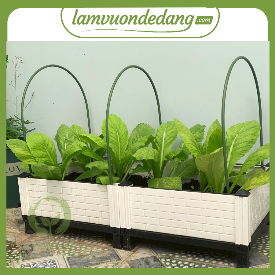 KHUNG VÒM TẠO LUỐNG TRỒNG RAU, CHẮN CÔN TRÙNG – SET 10 KHUNG – Hàng chính hãng Nhật Bản – Cao 70cm x rộng 90cm