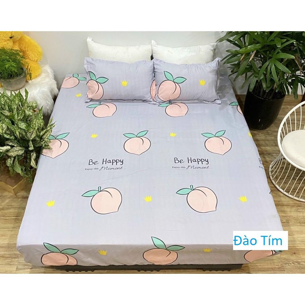Rẻ vô địch) Xả kho giá gốc bộ ga gối poly cotton