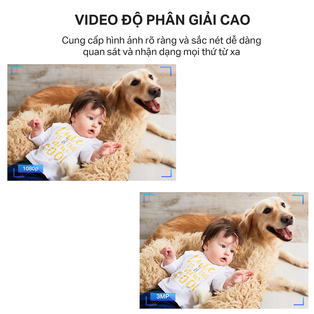 Combo Camera WiFi TP-Link Tapo C100 2MP và Thẻ Nhớ MicroSD Kioxia / Lexar 32Gb/64Gb/128Gb - Hàng Chính Hãng