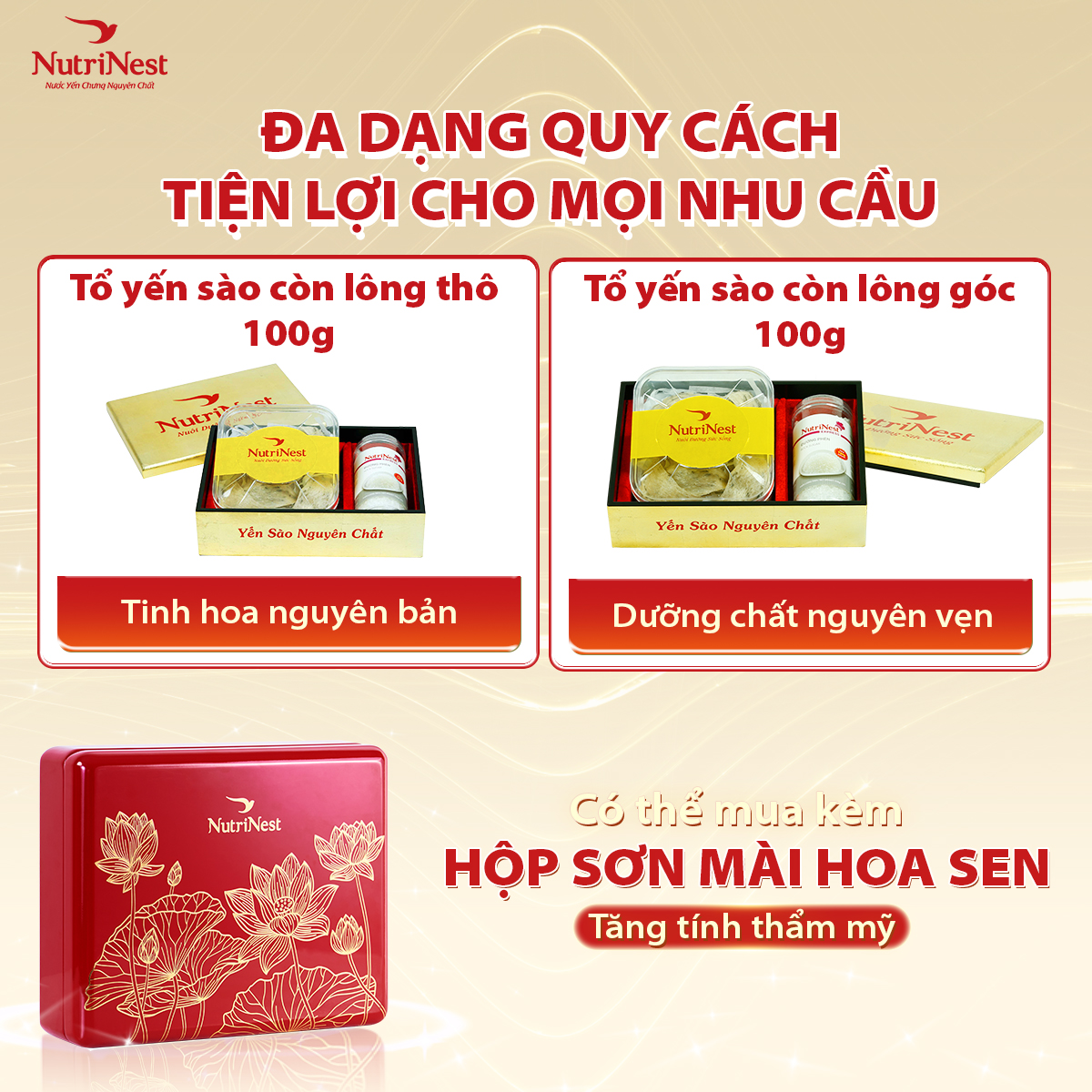 Tổ Yến Sào Còn Lông Thô NutriNest Chất Lượng Cao 100g - Kèm Đường Phèn