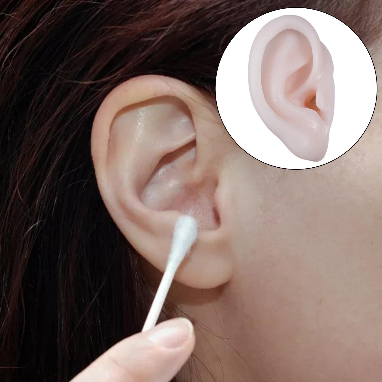 Simulation Ear Model Super Soft Teaching Aids Science for Practice