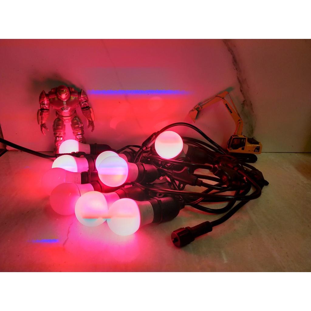 Dây Led Nháy Đổi Màu Trang Trí Ngoài Trời - 5m, 10m. Kèm bóng, kèm phích cắm, dây nối dài đơn giản Đui E27, bóng 3w