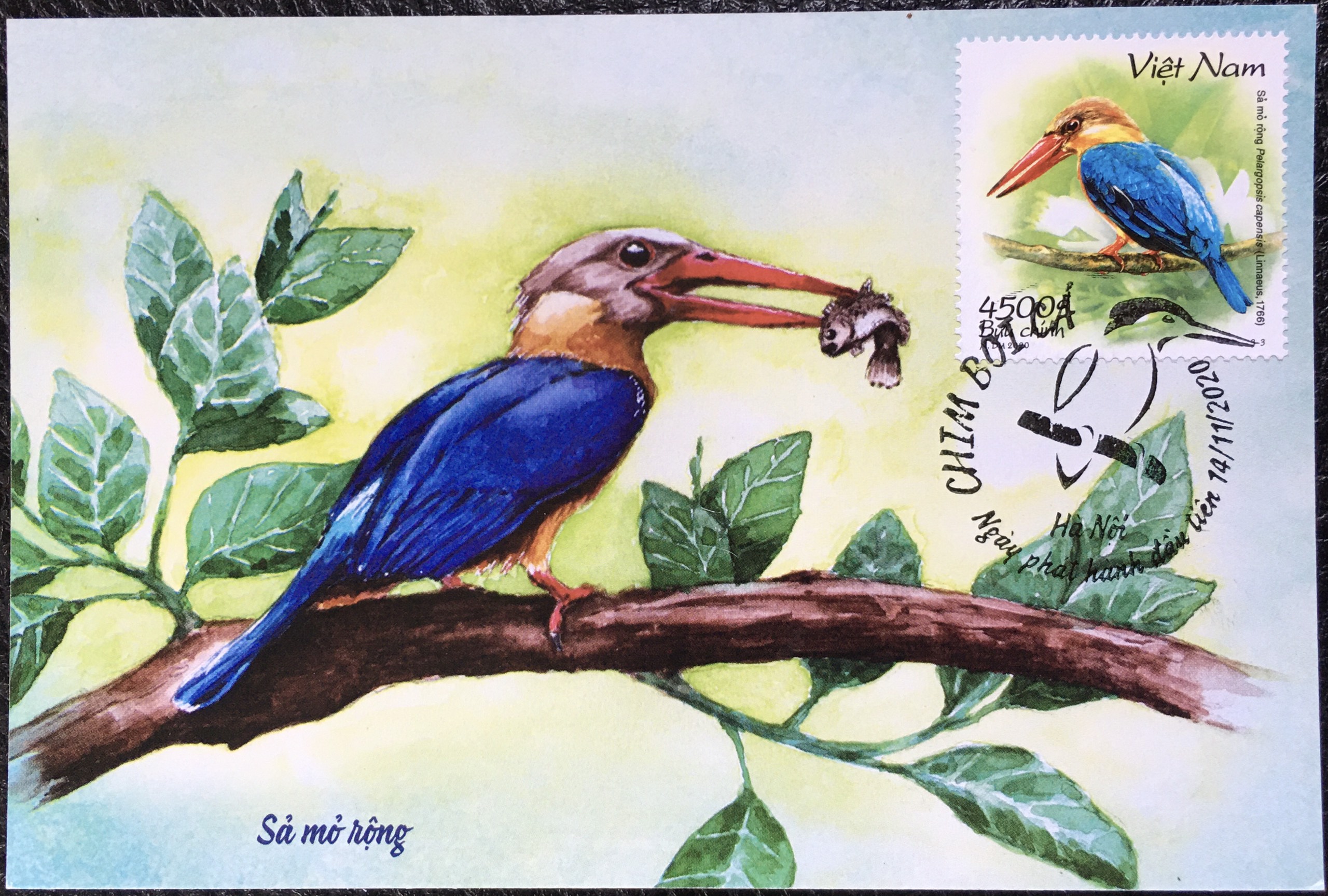 Bộ Tem Sưu Tầm Việt Nam Chủ Đề Chim Bói Cá - Set 3 Postcard Stamp